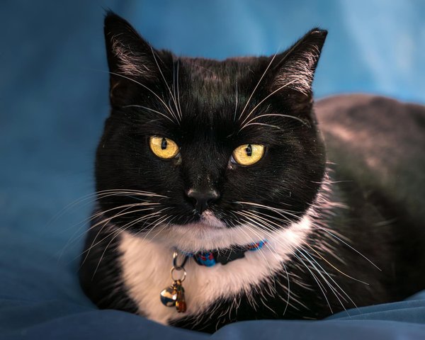 What advancements are UK universities making in tech research?